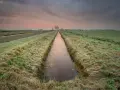Wschód słońca nad zamarzniętym rowem, przypominającym drenaż francuski. Na łące pasą się krowy.