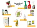 Domowe sposoby na mszyce: Mospilan, naturalne produkty, ziemia okrzemkowa, Emulpar, mydło potasowe, NeemAzal, taśmy lepowe.