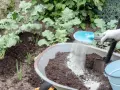 Rękawica zrzuca mączkę bazaltową do taczki z ziemią. Czy mączka bazaltowa jest szkodliwa? Nie, to naturalny nawóz.