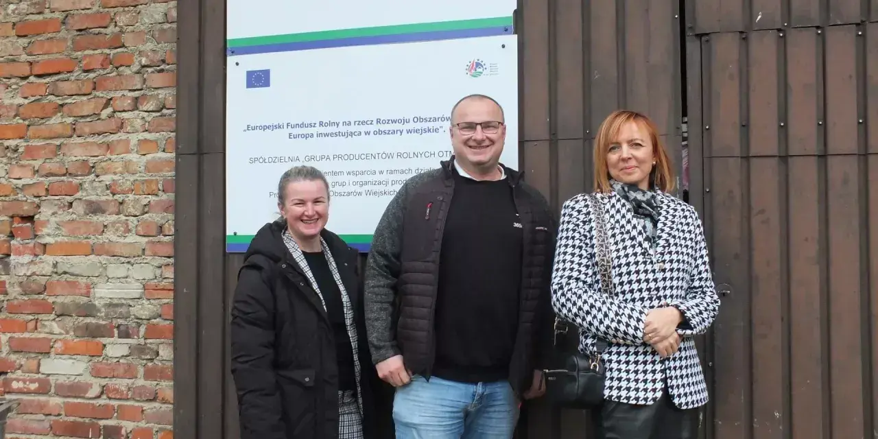 Kto rządzi spółdzielnią? Poznaj swoje prawa i strukturę