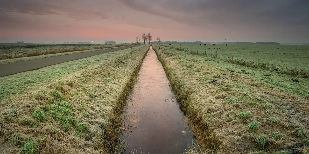 Wschód słońca nad zamarzniętym rowem, przypominającym drenaż francuski. Na łące pasą się krowy.