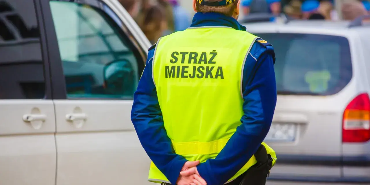 Strażnik miejski w kamizelce odblaskowej stoi obok samochodu.