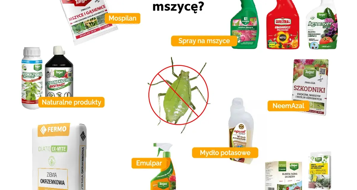 Domowe sposoby na mszyce: Mospilan, naturalne produkty, ziemia okrzemkowa, Emulpar, mydło potasowe, NeemAzal, taśmy lepowe.