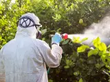 Osoba w kombinezonie ochronnym opryskuje rośliny, szukając sposobu, co odstrasza komary w ogrodzie.