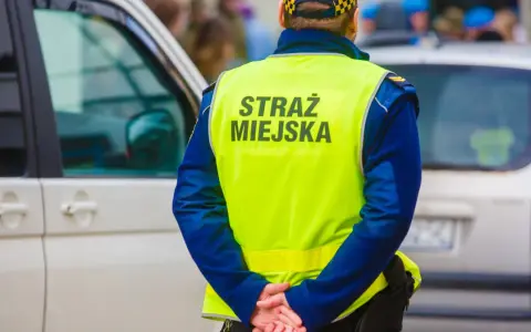 Strażnik miejski w kamizelce odblaskowej stoi obok samochodu.