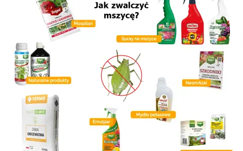 Domowe sposoby na mszyce: Mospilan, naturalne produkty, ziemia okrzemkowa, Emulpar, mydło potasowe, NeemAzal, taśmy lepowe.
