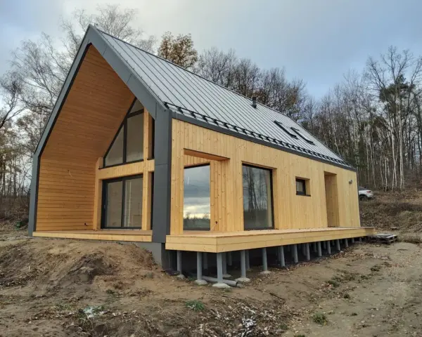 Nowoczesny dom 70m2 z drewnianą elewacją i dużymi oknami, otoczony lasem.